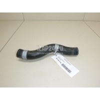 Патрубок радиатора Honda Civic 5D (2006 - 2012) 19501RSAG00