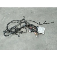 Проводка двигателя Volkswagen Passat B5+ (GP) 2004 03G906016CJ