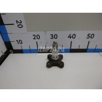 Цапфа (п.з.к.) Renault Clio IV (2012 - ) 430429377R