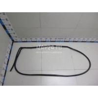 Уплотнитель двери Ford EcoSport (2013 - ) 2235198