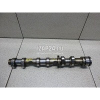 Распредвал выпускной VAG A5/S5 [8F] Cabrio (2010 - 2016) 06E109102BA