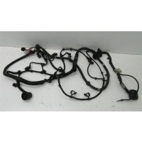 Жгут двигателя volkswagen touareg 2.5 tdi 070971610ak bac