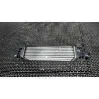 Радиатор интеркулера, Ford Mondeo 3 2000-2007 2003 1313503