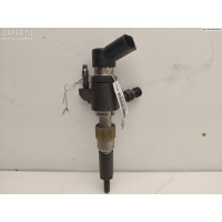 Форсунка топливная Peugeot 5008 2012 9802448680