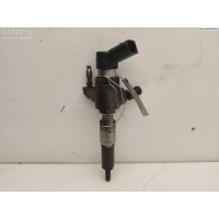 Форсунка топливная Peugeot 5008 2012 9802448680