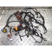 Renault гранд scenic 1.9 dci жгут двигателя