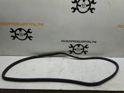 51727303967 Уплотнитель проема двери задней левой bmw 3-серия F30/F31 2011-