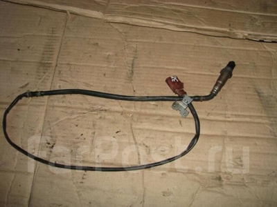 06F906262E датчик кислородный/ambdasonde VW Jetta 2005-2011 2008