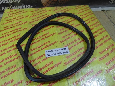 6233132031 Уплотнитель двери задн. прав. Toyota Camry XCV10 VCV10 1994 62331-32031