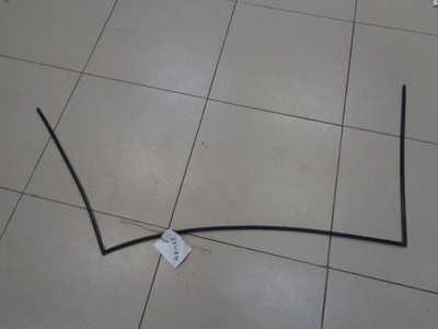 8200220440 Уплотнитель лобового стекла Renault Megane 2 2002-2008 2007