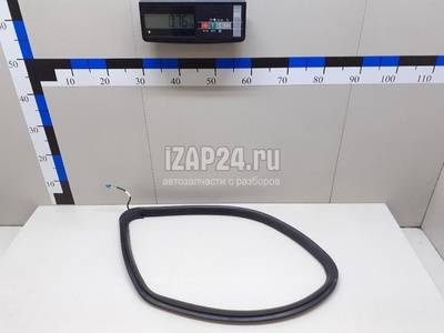 1666809000 Уплотнитель заднего стекла Mercedes Benz GL-Class X166 (GL/GLS) (2012 - 2019)