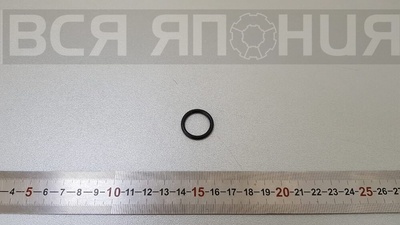 166188H800 Кольцо уплотнительное NISSAN NISSAN 16618-8H800
