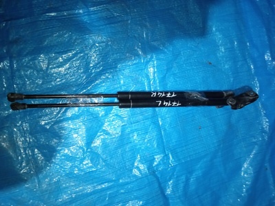 689600W070 амортизатор двери багажника TOYOTA RUNX NZE121 68960-0W070