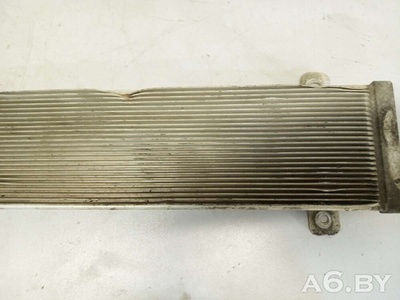 7M0203571A Радиатор топлива Volkswagen Sharan 1 restailing 2003