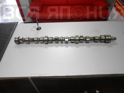 135111572 Распредвал HINO 500 H07D, H07C, H06C HINO 500 FD3HKA, FD3HLA, FD3HJA, FD3HMA, FD2HKA, FD2HLA, FD176B, GD2HKA, FD1HLA, FD1HKA, FD3HGA, FD2HMA, FD2HUA, GK1HRA, FD165B, FD3HDA, FD3HWA, FD175B 13511-1572