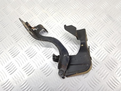 Петля капота Chevrolet Captiva C100 2009