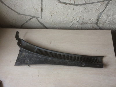 8616025001 Жабо Hyundai Accent 2 (ТагАЗ) 2 (ТагАЗ) 2004