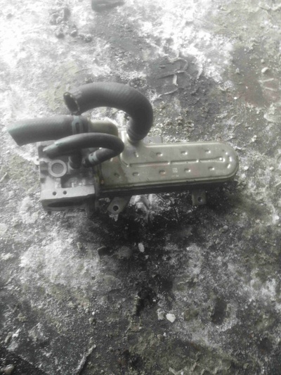038131513 Радиатор EGR Volkswagen Golf 4(1997-2004) 2000