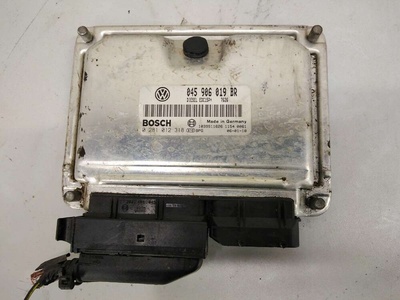 045906019BR Блок управления двигателем Skoda Fabia 2 2010 ,0281012318
