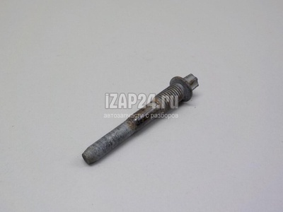 51217069748 Болт крепления дверной петли BMW 1-serie E87/E81 (2004 - 2011)
