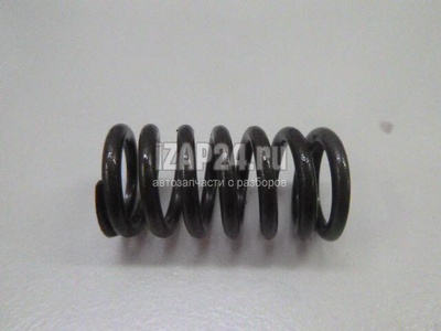036109623R Пружина клапана VAG Octavia (A5 1Z-) (2004 - 2013)