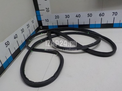 808301AA0A Уплотнитель двери Nissan Murano (Z51) (2008 - 2015)