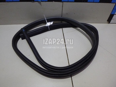 1748755 Уплотнитель двери Ford Focus III (2011 - 2019)
