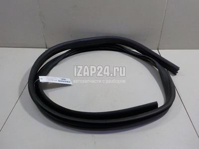 1748755 Уплотнитель двери Ford Focus III (2011 - 2019)