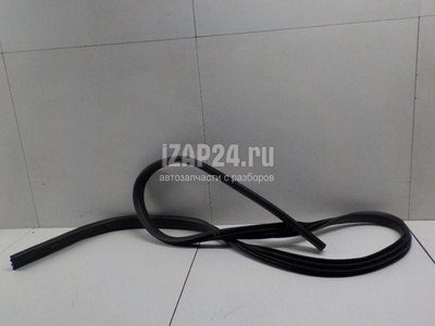 1748755 Уплотнитель двери Ford Focus III (2011 - 2019)
