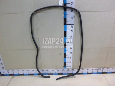 8200425635 Уплотнитель (внутри) Renault Kangoo 2008