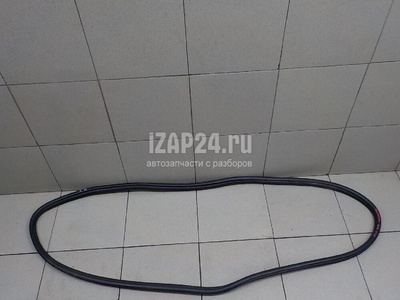 51727303967 Уплотнитель двери BMW 3-serie F30/F31/F80 (2011 - 2020)