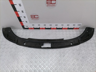 8N0860441E8N0860442E Накладка декоративная под капот Audi TT 8N (1998-2006) 2001 8N0860441E 8N0860442E,8N0860441E