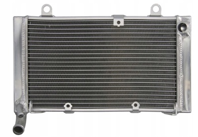 4539652145 радиатор honda cbf 1000 2006 - 2010r - новая ! !