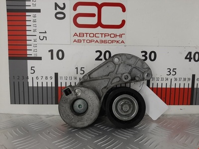 E6920A110540 Натяжитель ремня генератора Audi Q7 4L (2005-2015) 2006 ,022145299E