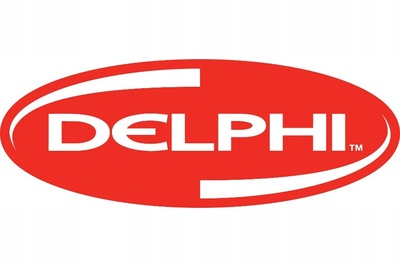 BDLL150S6558 наконечник впрыска распылитель delphi