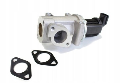 12101001 клапан системы рециркуляции ог fiat stilo doblo альфа 147 156 1.9 / 2.4jtd