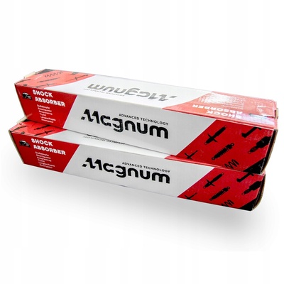 AGF048MT амортизаторы задняя л + п fiat punto ii lancia ypsilon