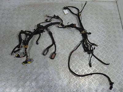 Проводка двигателя 1.3i 8V. A13SMS. Daewoo Lanos T100 1999