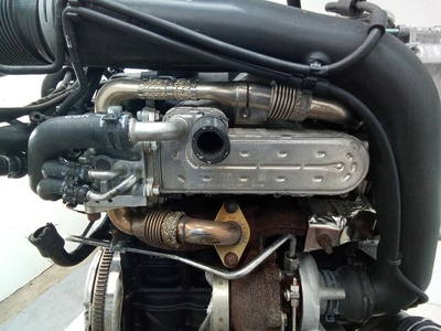 038131513 Радиатор EGR Volkswagen Golf 5 поколение (2004-2009) 2005