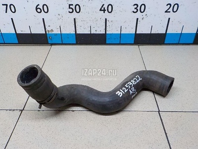 4D0121055F Патрубок радиатора VAG A8 [4D] (1999 - 2002)