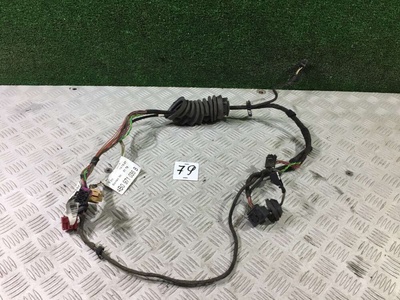 4B0971035B Проводка двери Audi A6 C5 (S6,RS6) 1998
