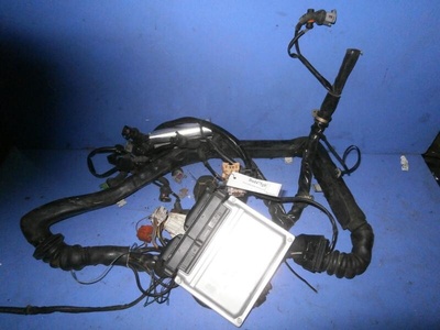 3B0907551CM Блок управления двигателем Audi A6 C5/4B 2002