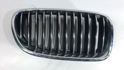 7200728 Решетка радиатора BMW 5 F10/F11/GTF07 2010 ,7261356,7203650