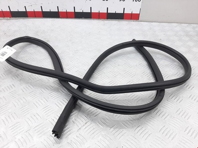 P2C100100812 Уплотнитель двери Chevrolet Captiva 1 (2006-2018) 2010 ,95028343