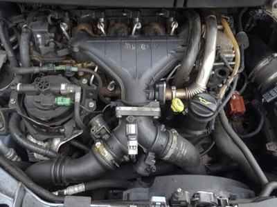 G6DG двигатель форд focus kuga c - max 2.0 tdci