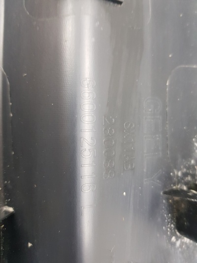 6600125116 Накладка задней левой двери Geely Coolray 2020-