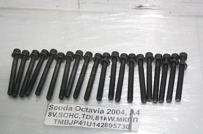 06A103384C Болт головки блока цилиндров Skoda Octavia 1U5 2004
