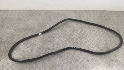7179131 уплотнитель двери задний BMW 7 серия F01/F02 2010