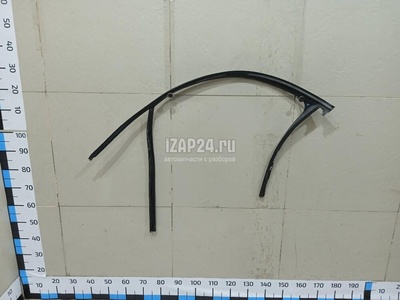 8R0837439G Уплотнитель стекла двери VAG Q5 [8R] (2008 - 2017)