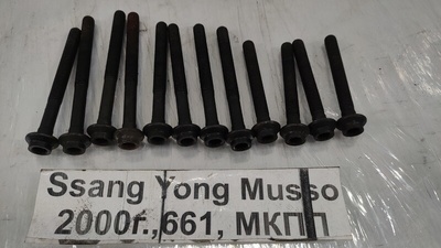 6039900110 Болт головки цилиндров SsangYong Musso 2000